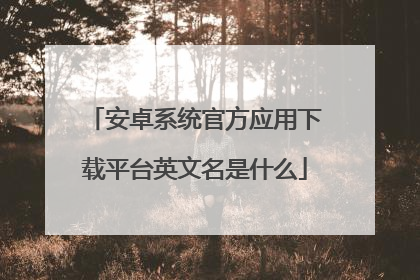 安卓系统官方应用下载平台英文名是什么