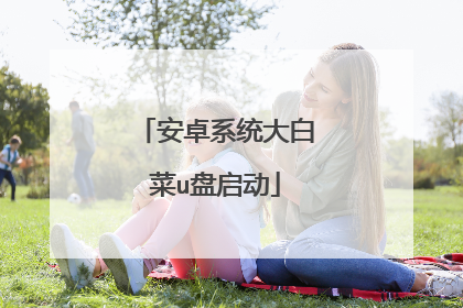 安卓系统大白菜u盘启动