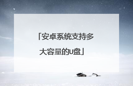 安卓系统支持多大容量的U盘
