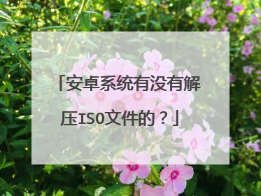 安卓系统有没有解压ISO文件的?