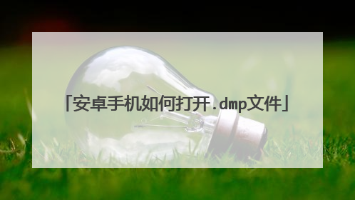 安卓手机如何打开.dmp文件
