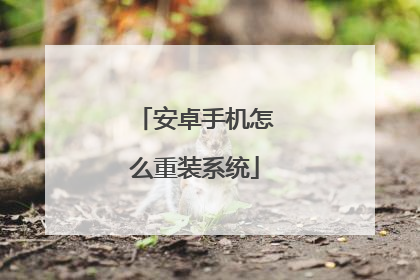安卓手机怎么重装系统