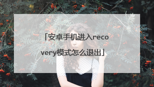 安卓手机进入recovery模式怎么退出