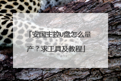 安国主控U盘怎么量产?求工具及教程