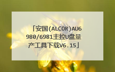 安国(ALCOR)AU6980/6981主控U盘量产工具下载V6.15