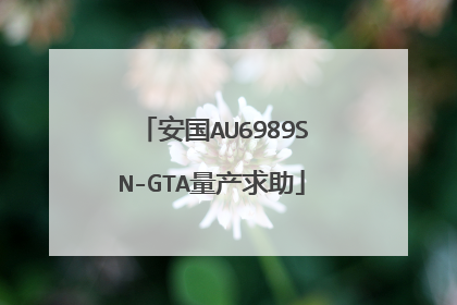 安国AU6989SN-GTA量产求助
