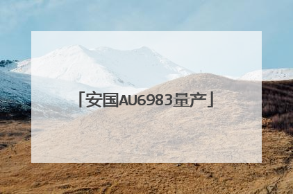 安国AU6983量产