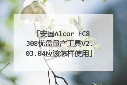 安国Alcor FC8308优盘量产工具V2.03.04应该怎样使用