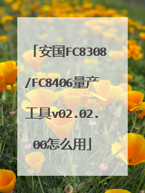 安国FC8308/FC8406量产工具v02.02.00怎么用