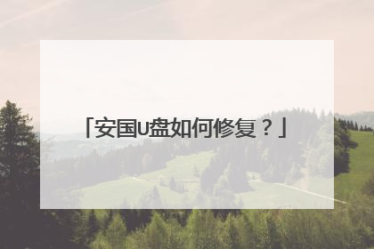 安国U盘如何修复?