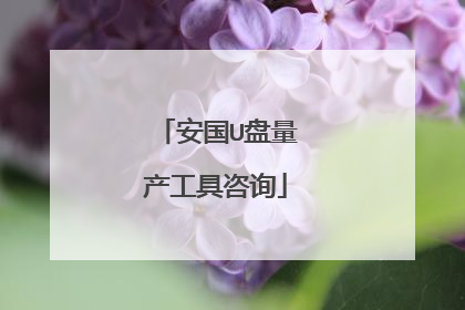 安国U盘量产工具咨询