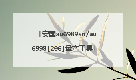 安国au6989sn/au6998[206]量产工具
