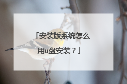 安装版系统怎么用u盘安装?