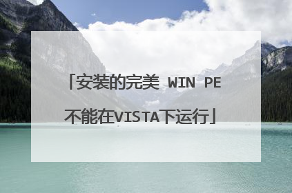 安装的完美 WIN PE 不能在VISTA下运行