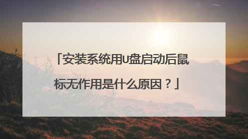 安装系统用U盘启动后鼠标无作用是什么原因?