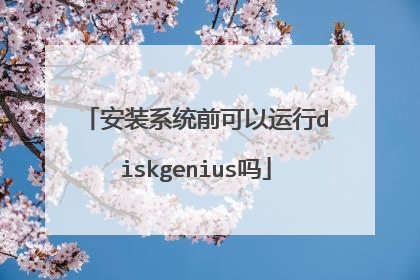 安装系统前可以运行diskgenius吗