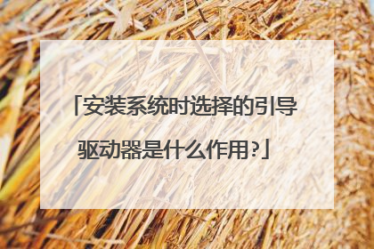 安装系统时选择的引导驱动器是什么作用?