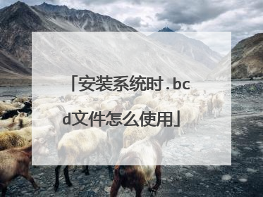 安装系统时.bcd文件怎么使用