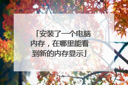 安装了一个电脑内存，在哪里能看到新的内存显示