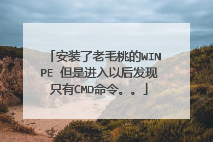 安装了老毛桃的WINPE 但是进入以后发现只有CMD命令。。