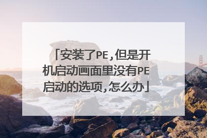 安装了PE,但是开机启动画面里没有PE启动的选项,怎么办