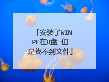 安装了WINPE在U盘 但是找不到文件