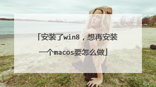 安装了win8,想再安装一个macos要怎么做