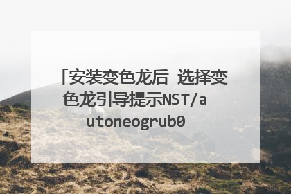 安装变色龙后 选择变色龙引导提示NST/autoneogrub0.MBR 怎么回事啊