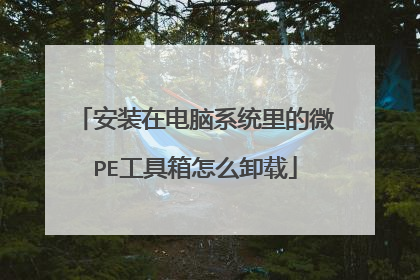 安装在电脑系统里的微PE工具箱怎么卸载