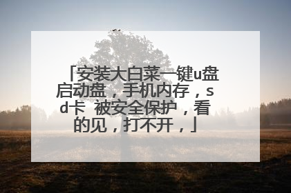 安装大白菜一键u盘启动盘,手机内存,sd卡 被安全保护,看的见,打不开,