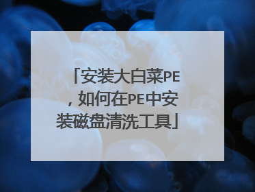 安装大白菜PE，如何在PE中安装磁盘清洗工具