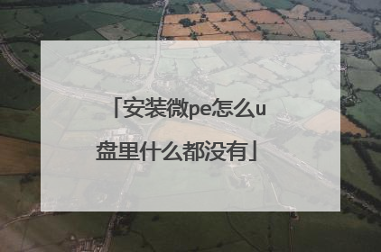 安装微pe怎么u盘里什么都没有