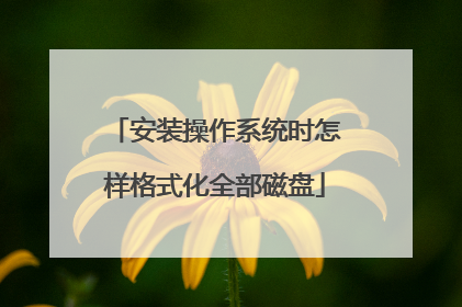 安装操作系统时怎样格式化全部磁盘