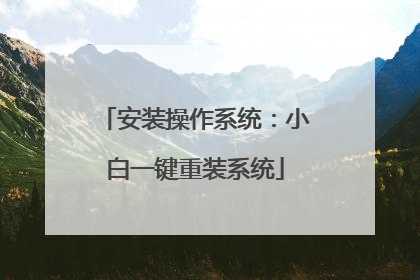 安装操作系统:小白一键重装系统