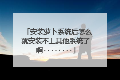 安装萝卜系统后怎么就安装不上其他系统了啊········