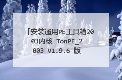 安装通用PE工具箱2003内核 TonPE_2003_V1.9.6 版本后,重启根本看不到PE启动项,如何设置?