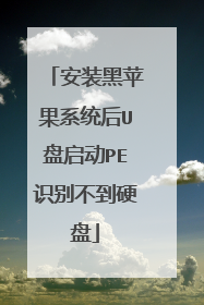 安装黑苹果系统后U盘启动PE识别不到硬盘