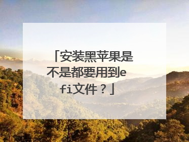 安装黑苹果是不是都要用到efi文件?
