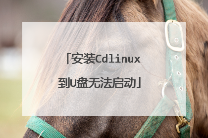 安装Cdlinux 到U盘无法启动