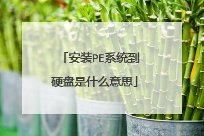 安装PE系统到硬盘是什么意思
