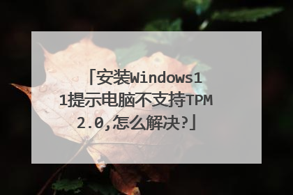 安装Windows11提示电脑不支持TPM2.0,怎么解决?
