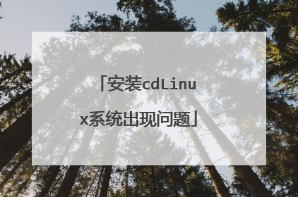 安装cdLinux系统出现问题