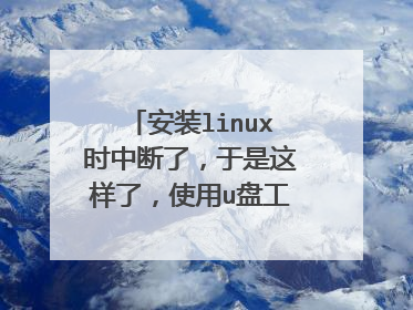 安装linux时中断了,于是这样了,使用u盘工具无法进入pe,怎么解决?