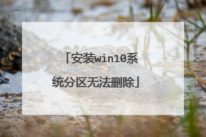 安装win10系统分区无法删除