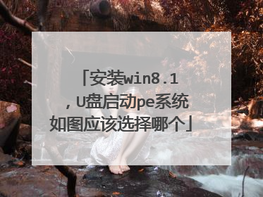 安装win8.1，U盘启动pe系统如图应该选择哪个