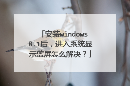 安装windows8.1后,进入系统显示蓝屏怎么解决?