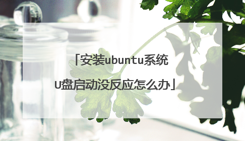 安装ubuntu系统U盘启动没反应怎么办