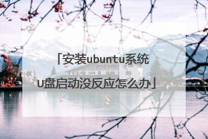 安装ubuntu系统U盘启动没反应怎么办
