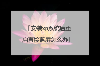 安装xp系统后重启直接蓝屏怎么办