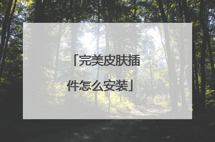 完美皮肤插件怎么安装